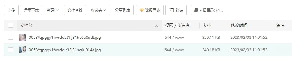 使用php远程下载所有的新浪图床图片保存到本地